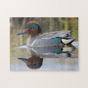 Green-winged Teal Jigsaw Puzzle