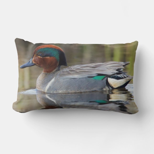 Green-winged Teal Lumbar Pillow (Front)