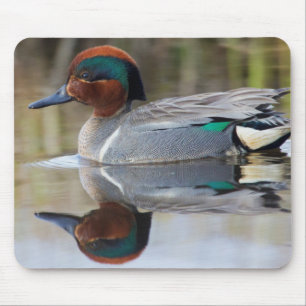 Green-winged Teal Mouse Pad