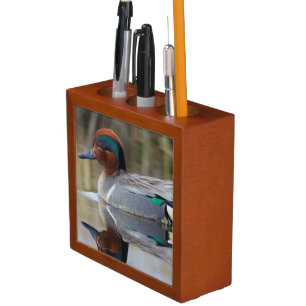 Green-winged Teal Pencil/Pen Holder