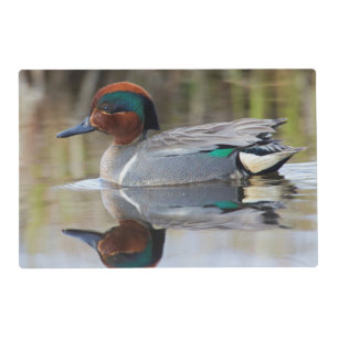 Green-winged Teal Placemat