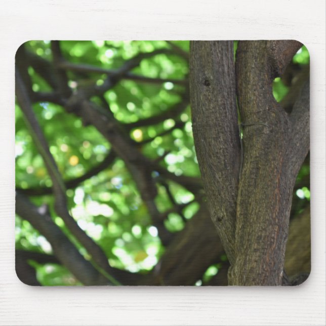 Green Wisteria Pergola Tree Nature Photography Mouse Pad (Front)