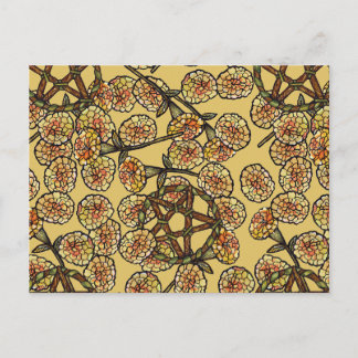 Green Witch Pentacle Hedge Witches Postcard