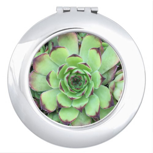 Green with Purple Tips Succulent Close_Up Photo Compact Mirror