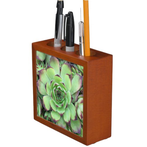 Green with Purple Tips Succulent Close_Up Photo Desk Organizer