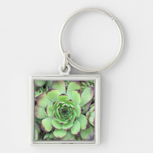Green with Purple Tips Succulent Close_Up Photo Keychain