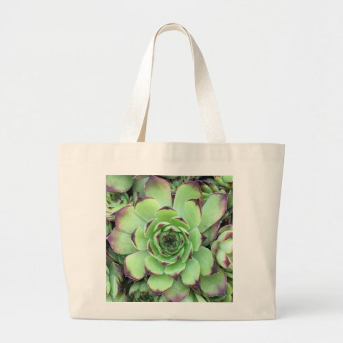 Green with Purple Tips Succulent Close_Up Photo Large Tote Bag