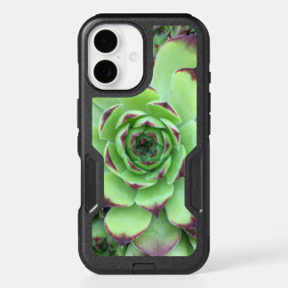 Green with Purple Tips Succulent Close-Up Photo iPhone 16 Case