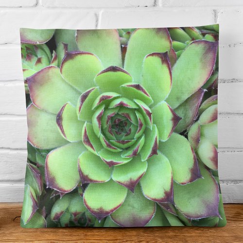 Green with Purple Tips Succulent Close_Up Photo Throw Pillow