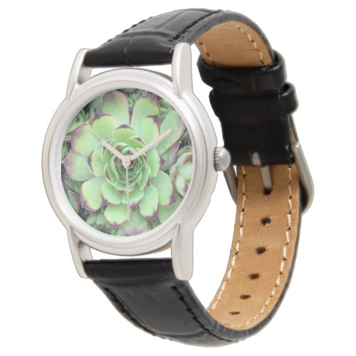Green with Purple Tips Succulent Close_Up Watch