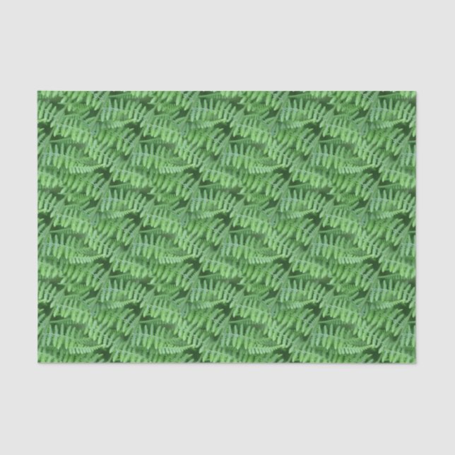 Green Woodland Ferns Pattern Nature    Tissue Paper (Front)