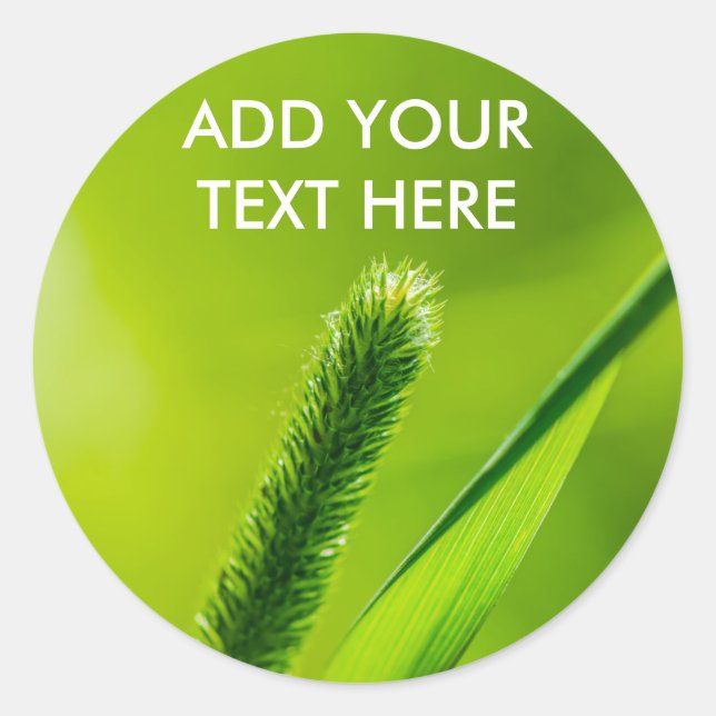 Green World Classic Round Sticker (Front)