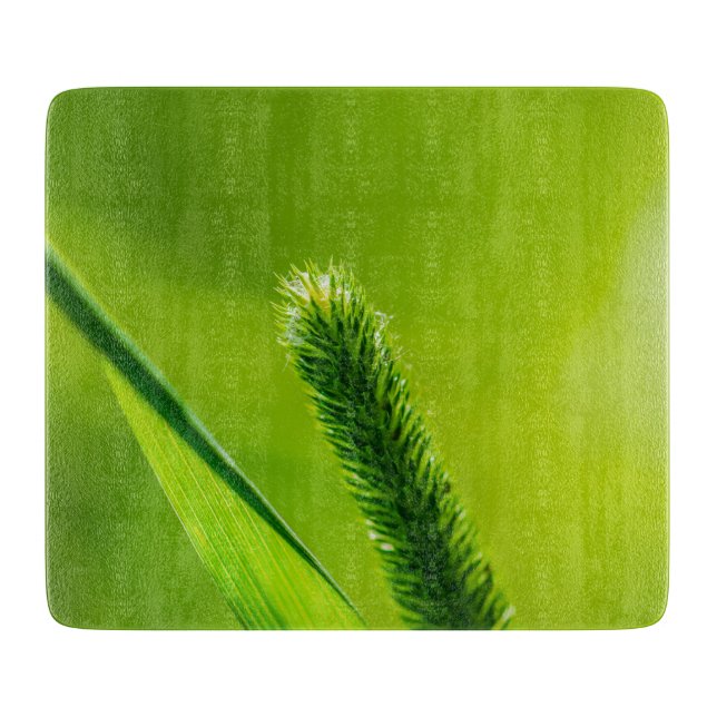 Green World Cutting Board (Front)