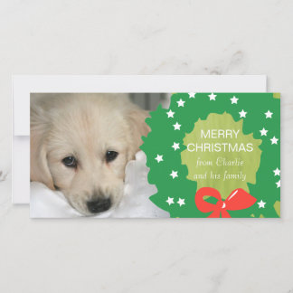 Green Wreath Merry Christmas Dog Photo Card