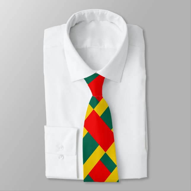 Green Yellow And Red Color Block Print Neck Tie (Tied)