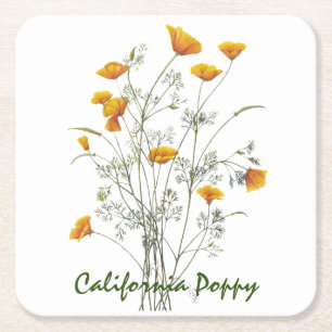 Green Yellow California Poppy Watercolor Painting Square Paper Coaster