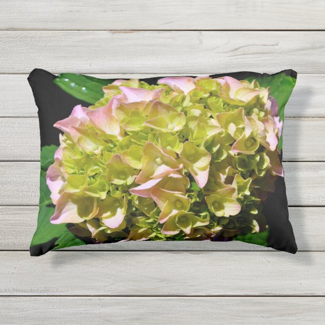 Green yellow pink Hydrangea pink yellow flower Outdoor Pillow (Front)