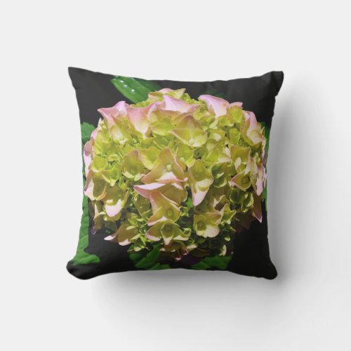 Green yellow pink Hydrangea pink yellow flower Outdoor Pillow