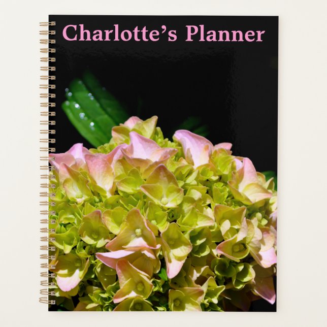 Green yellow pink Hydrangea pink yellow flower Planner (Front)