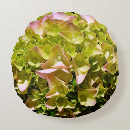 Green yellow pink Hydrangea pink yellow flower Round Pillow