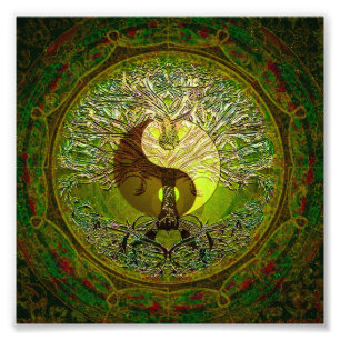 Green Yin Yang with Tree of Life Photo Print