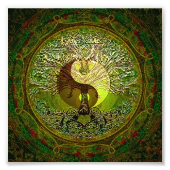 Green Yin Yang With Tree Of Life Photo Print by thetreeoflife at Zazzle