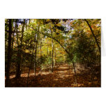 Greenbelt Park in Fall I Maryland Landscape