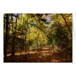 Greenbelt Park in Fall I Maryland Landscape Cards