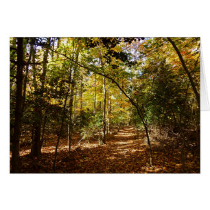 Greenbelt Park in Fall I Maryland Landscape Cards