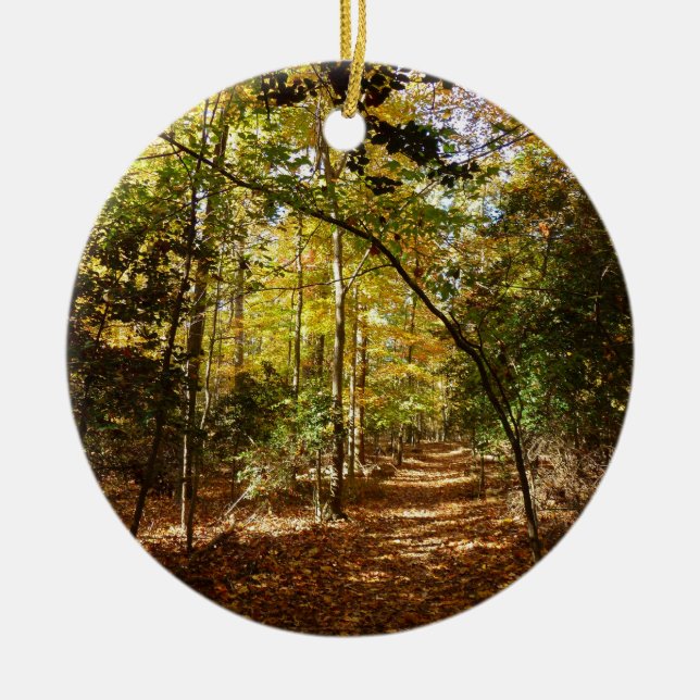 Greenbelt Park in Fall I Maryland Landscape Ceramic Ornament (Front)