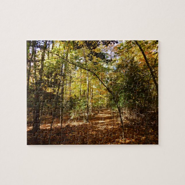 Greenbelt Park in Fall I Maryland Landscape Jigsaw Puzzle (Horizontal)