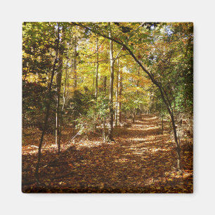 Greenbelt Park in Fall I Maryland Landscape Magnet