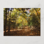 Greenbelt Park in Fall I Maryland Landscape Postcard