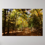 Greenbelt Park in Fall I Maryland Landscape Poster
