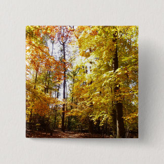 Greenbelt Park in Fall II Maryland Nature Scene Button