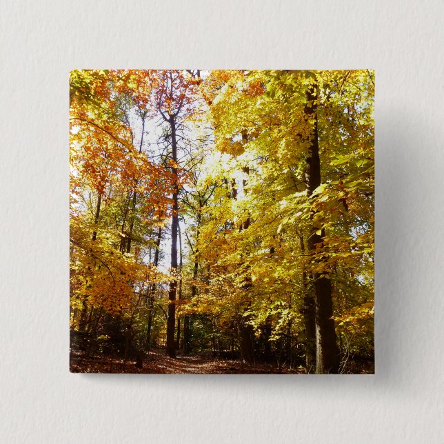 Greenbelt Park in Fall II Maryland Nature Scene Button (Front)