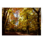 Greenbelt Park in Fall II Maryland Nature Scene Cards