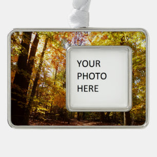 Greenbelt Park in Fall II Maryland Nature Scene Christmas Ornament