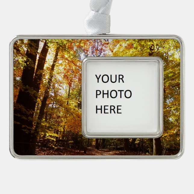 Greenbelt Park in Fall II Maryland Nature Scene Christmas Ornament (Front)