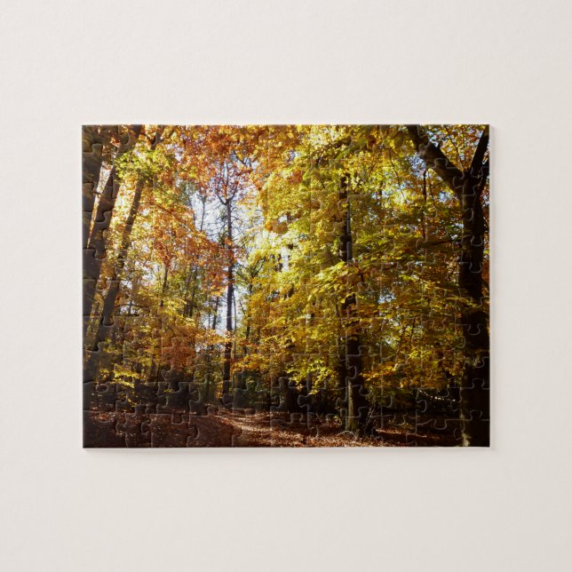 Greenbelt Park in Fall II Maryland Nature Scene Jigsaw Puzzle (Horizontal)