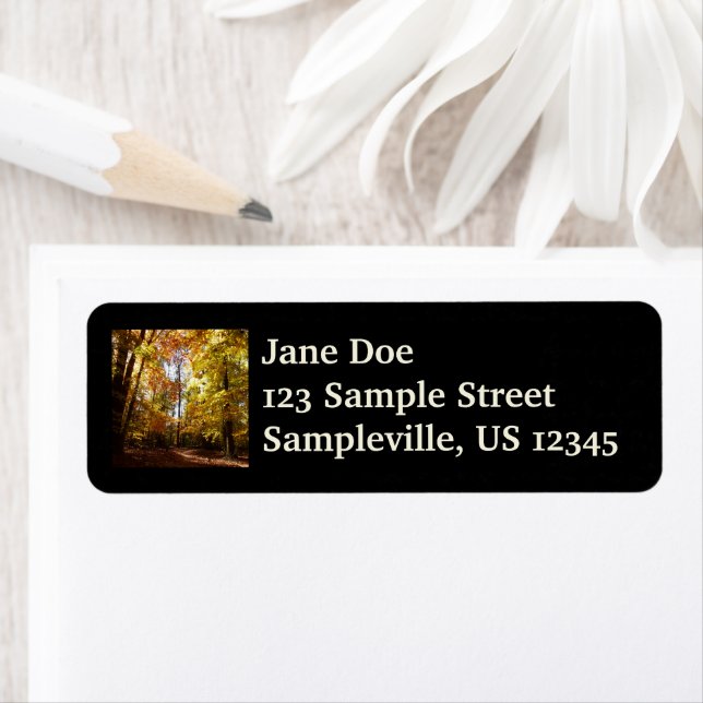 Greenbelt Park in Fall II Maryland Nature Scene Label (Insitu)