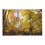 Greenbelt Park in Fall II Maryland Nature Scene Placemat