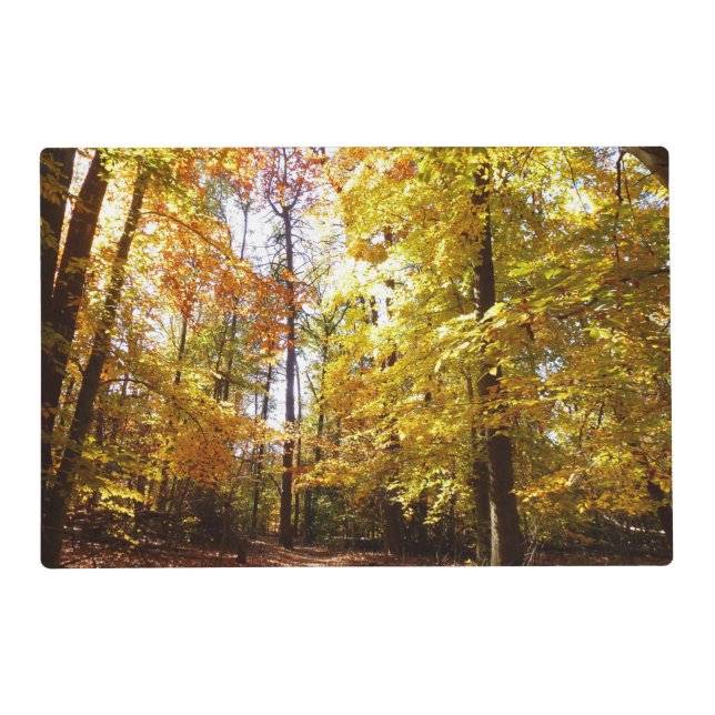 Greenbelt Park in Fall II Maryland Nature Scene Placemat (Front)