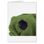 greenblankie.png (Front)