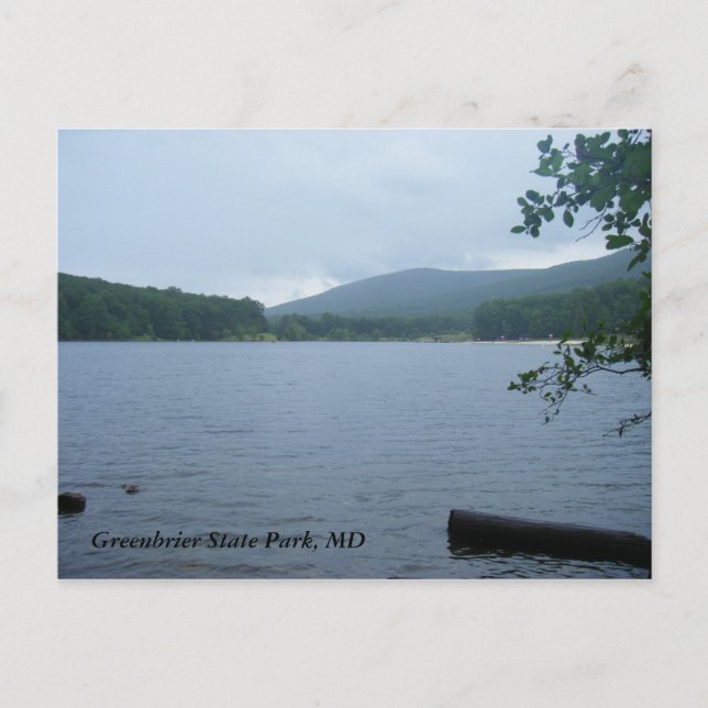 Greenbrier State Park, MD Postcard (Front)
