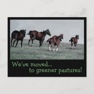Greener Pastures... Announcement Postcard