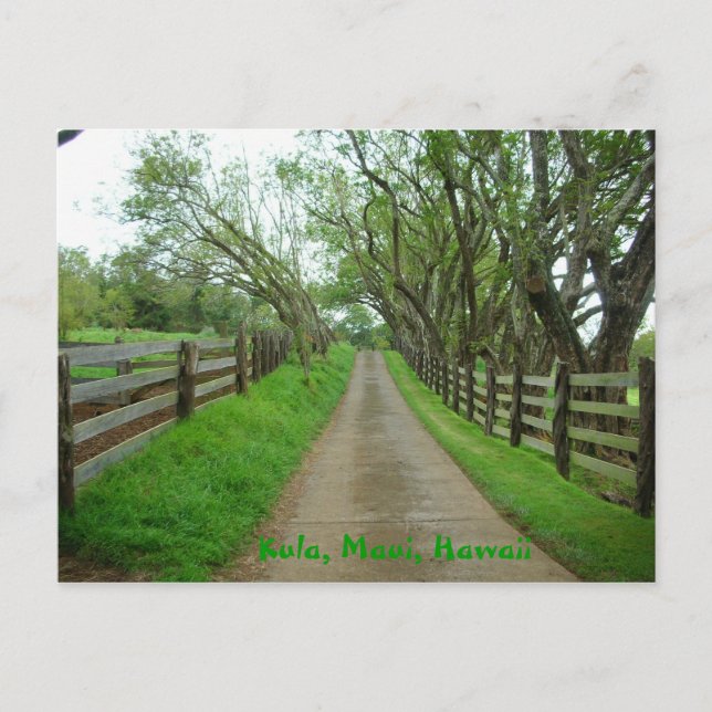 Greener Pastures Postcard (Front)