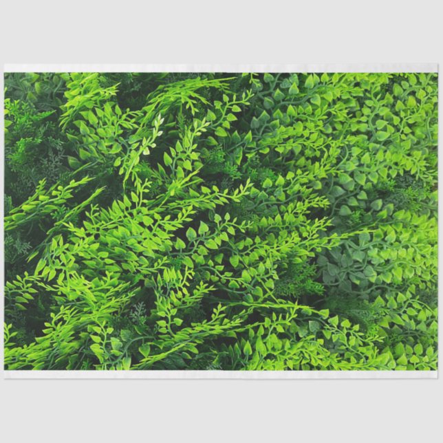 Greenery Leaves Background Spring Filler Tissue Paper (Front)