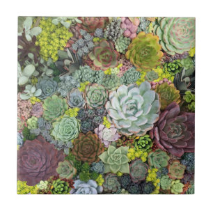 Greenery Succulents Ceramic Tile