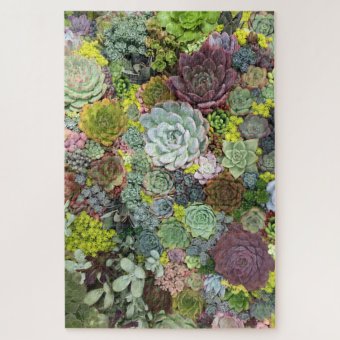 Greenery Succulents Jigsaw Puzzle | Zazzle